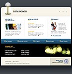 Web Hosting Web Design Template 11237