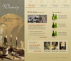 Web Hosting Web Design Template 11626