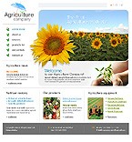 image 11905