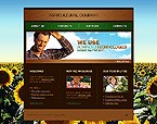 Web Hosting Web Design Template 11914