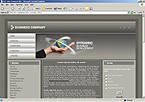 Web Hosting Web Design Template 12915