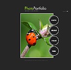image 13359