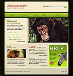 image 13909