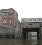 Template #139411