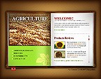 Web Hosting Web Design Template 14266