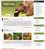 Web Hosting Web Design Template 14397