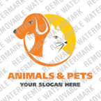 image 15887
