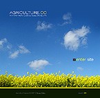 Web Hosting Web Design Template 16258