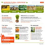 Web Hosting Web Design Template 16307