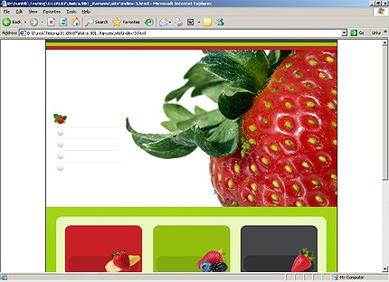 HTML HOMEPAGE SCREENSHOT