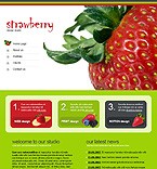 Web Hosting Web Design Template 17304