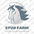 image 17442