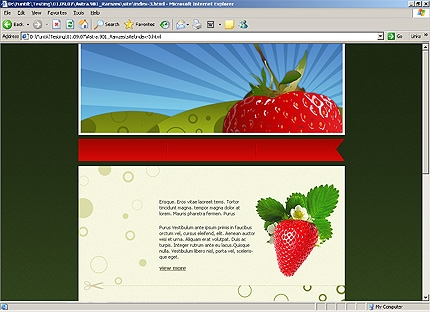 HTML HOMEPAGE SCREENSHOT