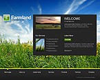 image 19931