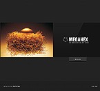 image 19984