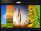 Web Hosting Web Design Template 23012