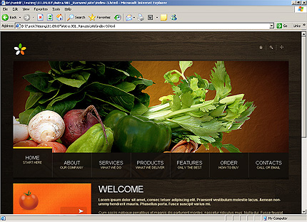 HTML HOMEPAGE SCREENSHOT