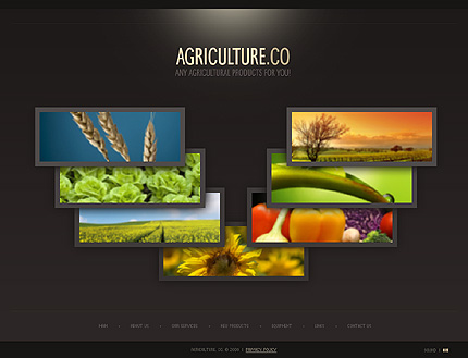 ADOBE PHOTOSHOP HOMEPAGE SCREENSHOT