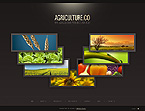 Web Hosting Web Design Template 25332