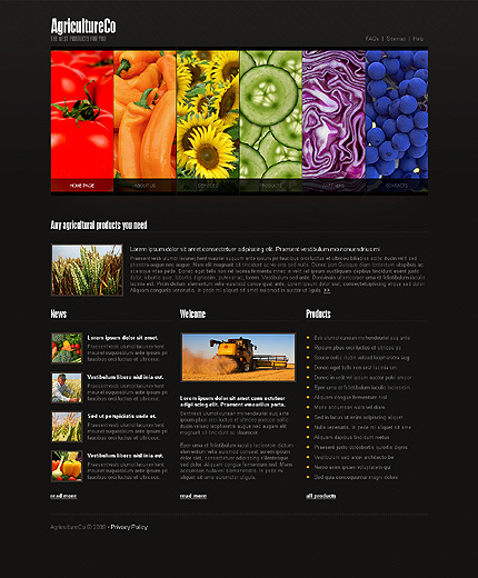 ADOBE PHOTOSHOP HOMEPAGE SCREENSHOT