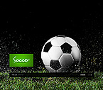 Template Nummer 28711
