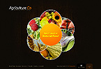 Web Hosting Web Design Template 30426