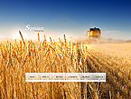 Web Hosting Web Design Template 32515