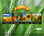 Web Hosting Web Design Template 32581