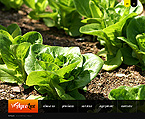 Web Hosting Web Design Template 33041