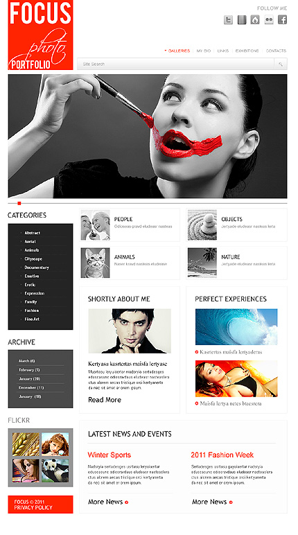 WordPress main photoshop screenshot