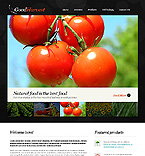 Web Hosting Web Design Template 34021