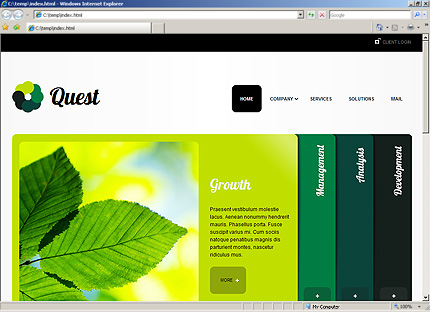 Homepage HTML