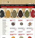 Web Hosting Web Design Template 34300