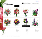 Web Hosting Web Design Template 34523
