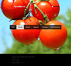 Web Hosting Web Design Template 35061