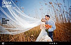 xml-flash-site kit graphique 35719
