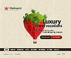 Web Hosting Web Design Template 36867