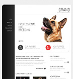 Web Hosting Web Design Template 37289