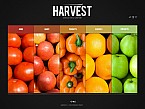 Web Hosting Web Design Template 37394