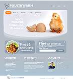 Web Hosting Web Design Template 37461
