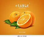 Web Hosting Web Design Template 37468