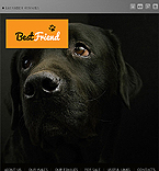 Web Hosting Web Design Template 37478
