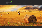 Web Hosting Web Design Template 37768