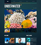 Web Hosting Web Design Template 38207