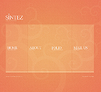 Web Hosting Web Design Template 38480