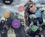 Template 38632 Xml flash