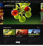Web Hosting Web Design Template 38807