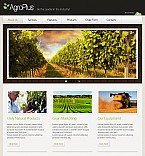 Template 38993 Stretched flash cms theme