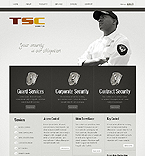 Template 39127 Pro website