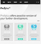 Template 39143 Wordpress